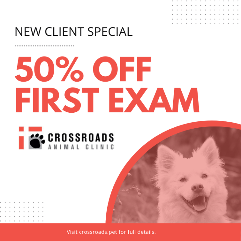 Veterinary | Crossroads Animal Clinic | Houston | (281) 859-3050